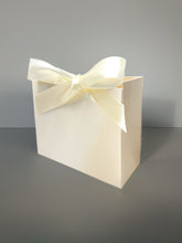 Load image into Gallery viewer, 20PCS Ivory Gift Bags with Ribbon – Personalized Foil Logo Favor Bags for Weddings, Parties, Jewelry & Holiday Gifts