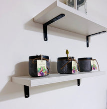Load image into Gallery viewer, 2PC Canadian Wood Floating Wall Shelves – Rustic Modern Display for Plants, Kitchen & Home Decor (Includes Hardware)